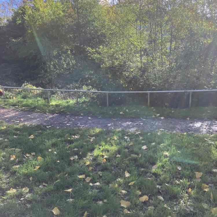 AJP 🏴󠁧󠁢󠁳󠁣󠁴󠁿 post 1