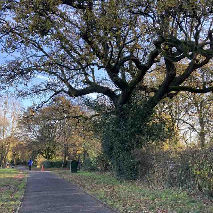 AJP 🏴󠁧󠁢󠁳󠁣󠁴󠁿 post 2