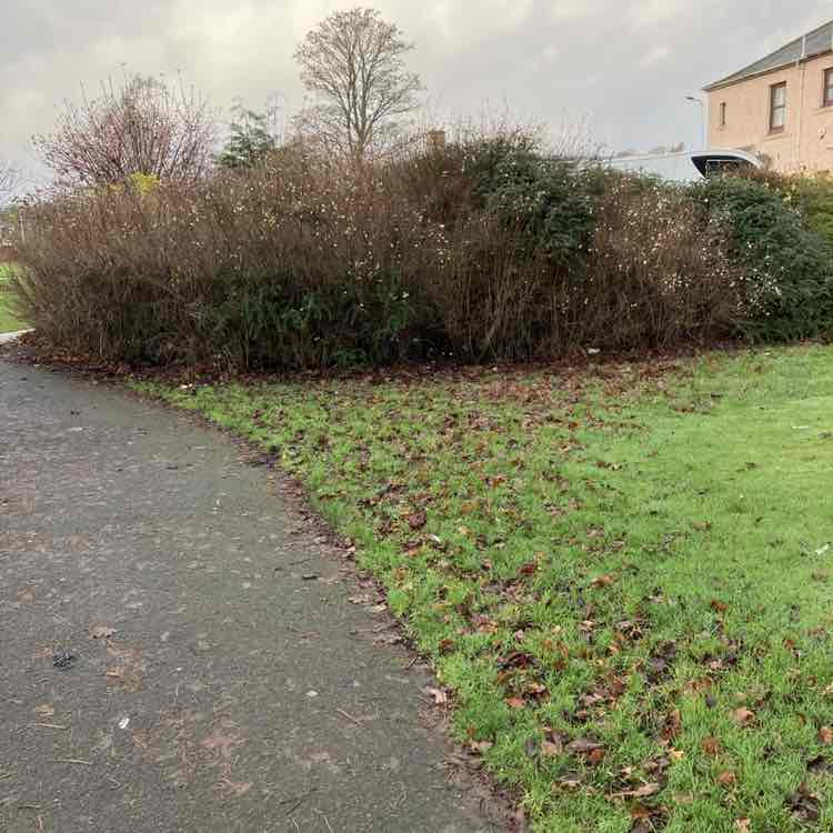 AJP 🏴󠁧󠁢󠁳󠁣󠁴󠁿 post 2