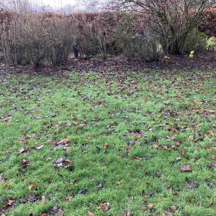 AJP 🏴󠁧󠁢󠁳󠁣󠁴󠁿 post 1