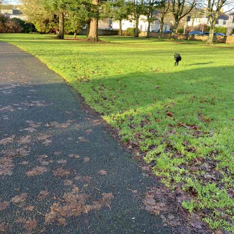 AJP 🏴󠁧󠁢󠁳󠁣󠁴󠁿 post 1