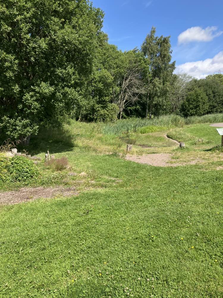 walking near me in The Helix in summer