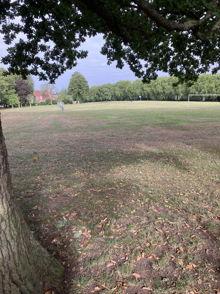walking near me in Spencer Park in autumn