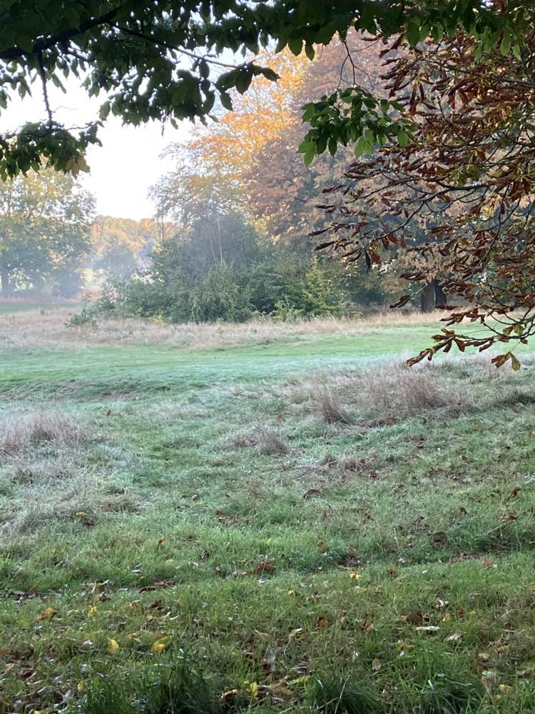 walking near me in War Memorial Park in autumn