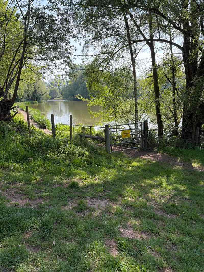 walking near me in Ryton Pools Country Park in spring