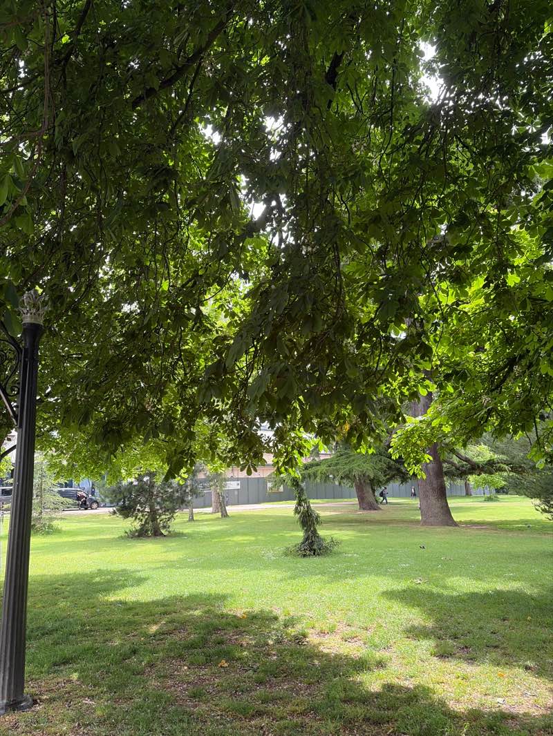 walking near me in Pump Room Gardens in summer