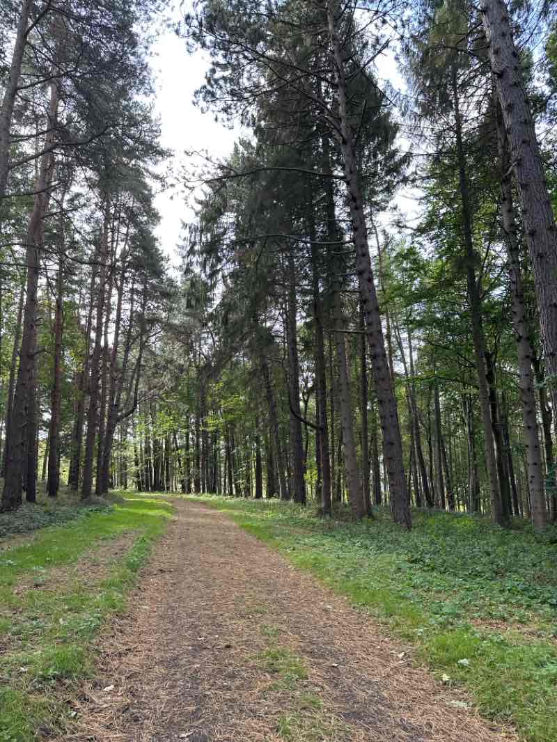 walking near me in Castle Hill in autumn