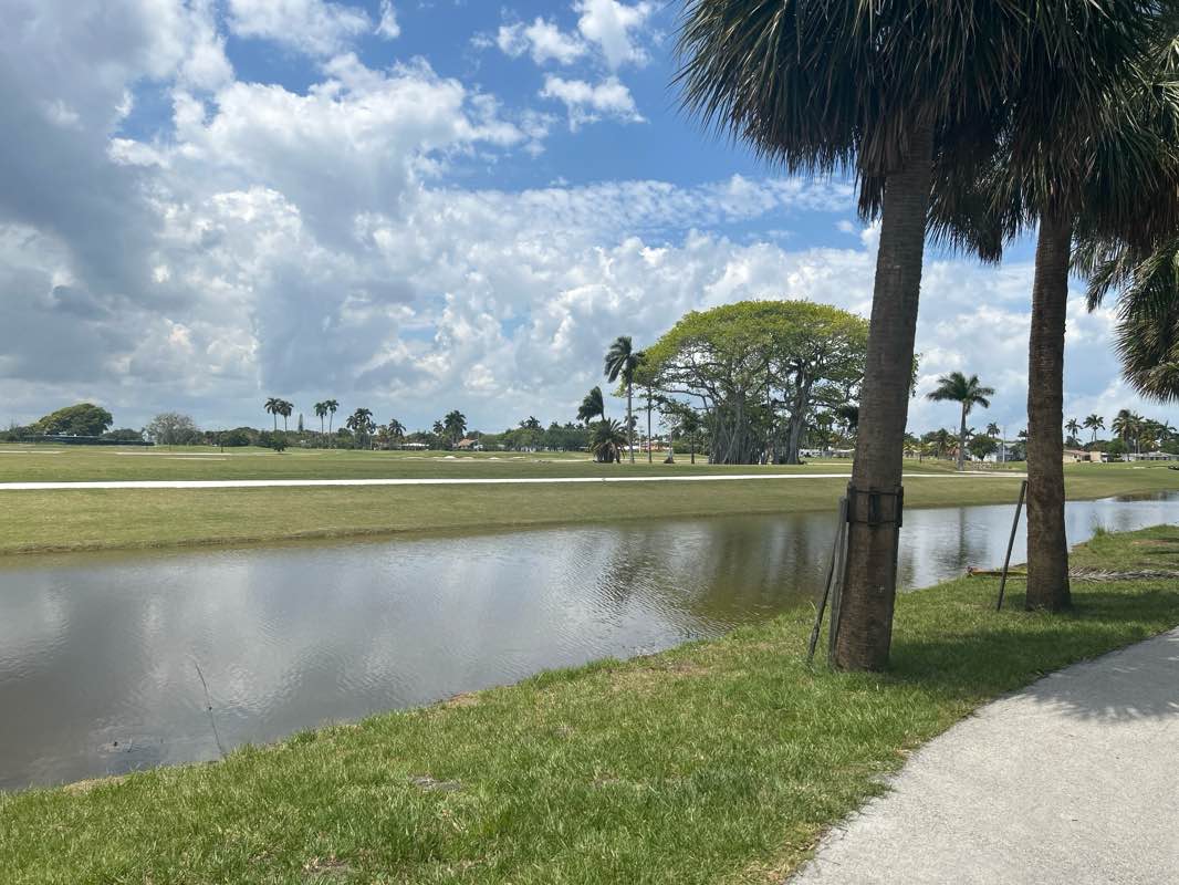 walking near me in Young Circle Park in spring