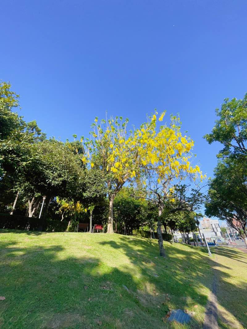 walking near me in 工學園道 in winter