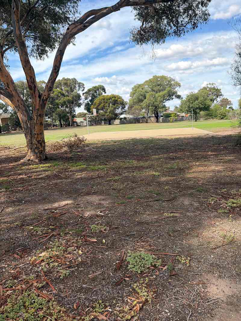 walking near me in Gruner Street Reserve in autumn