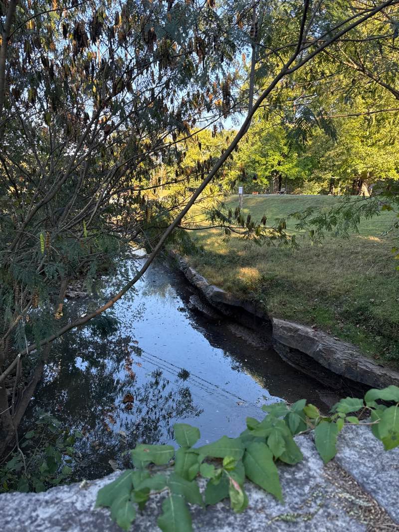 walking near me in Briar Creek Park in autumn