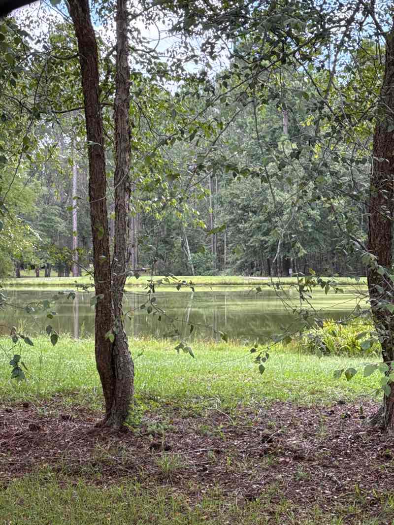 walking near me in Riley Park in autumn