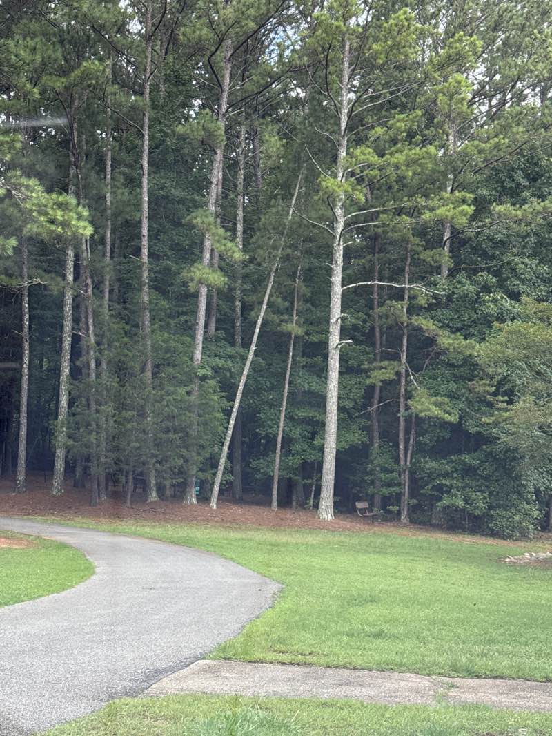 walking near me in Smokerise Park in autumn
