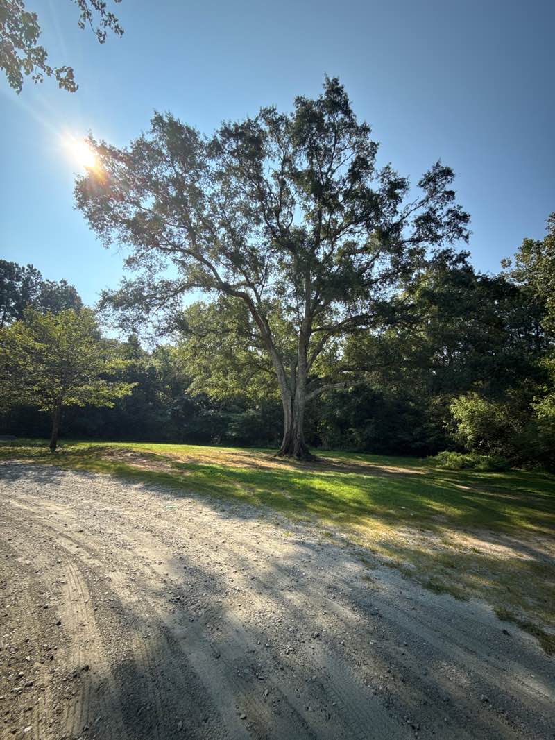 walking near me in Riverside Park in autumn