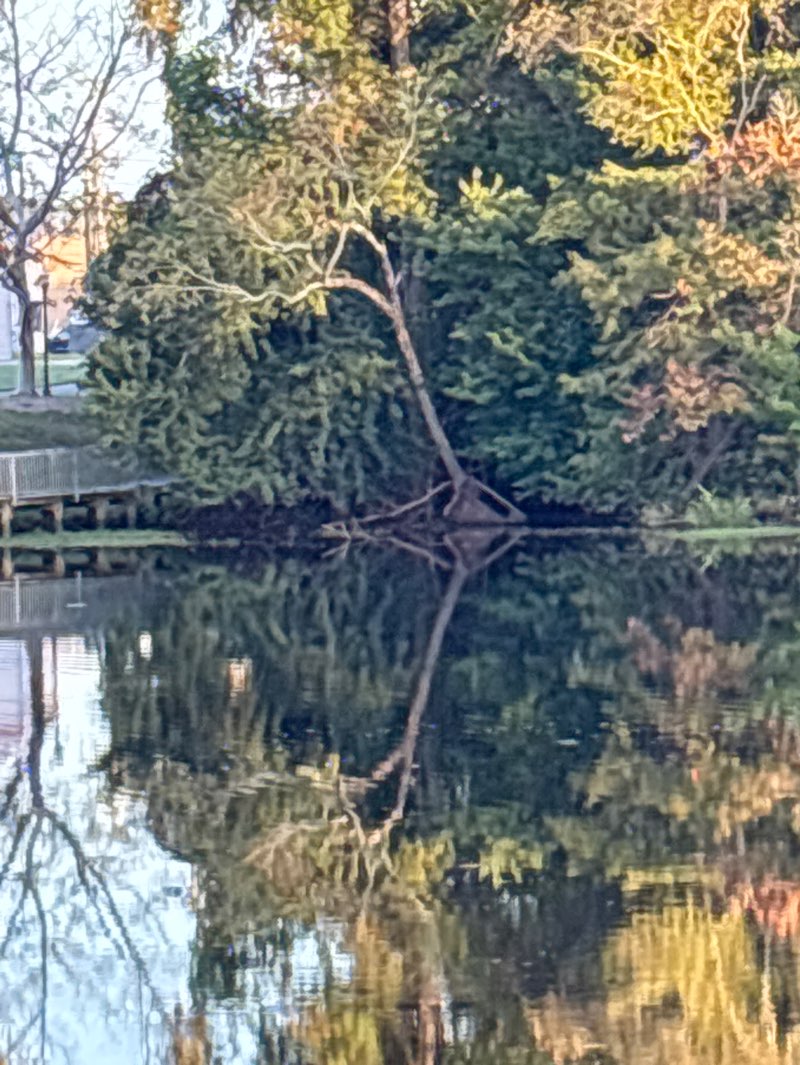 walking near me in Barret’s Landing in autumn