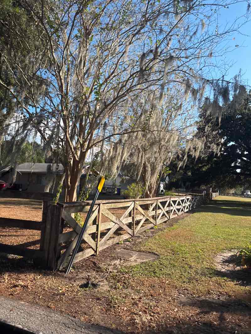walking near me in Saladino Park in autumn