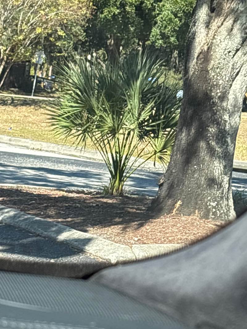 walking near me in Paul Sanders Park in autumn