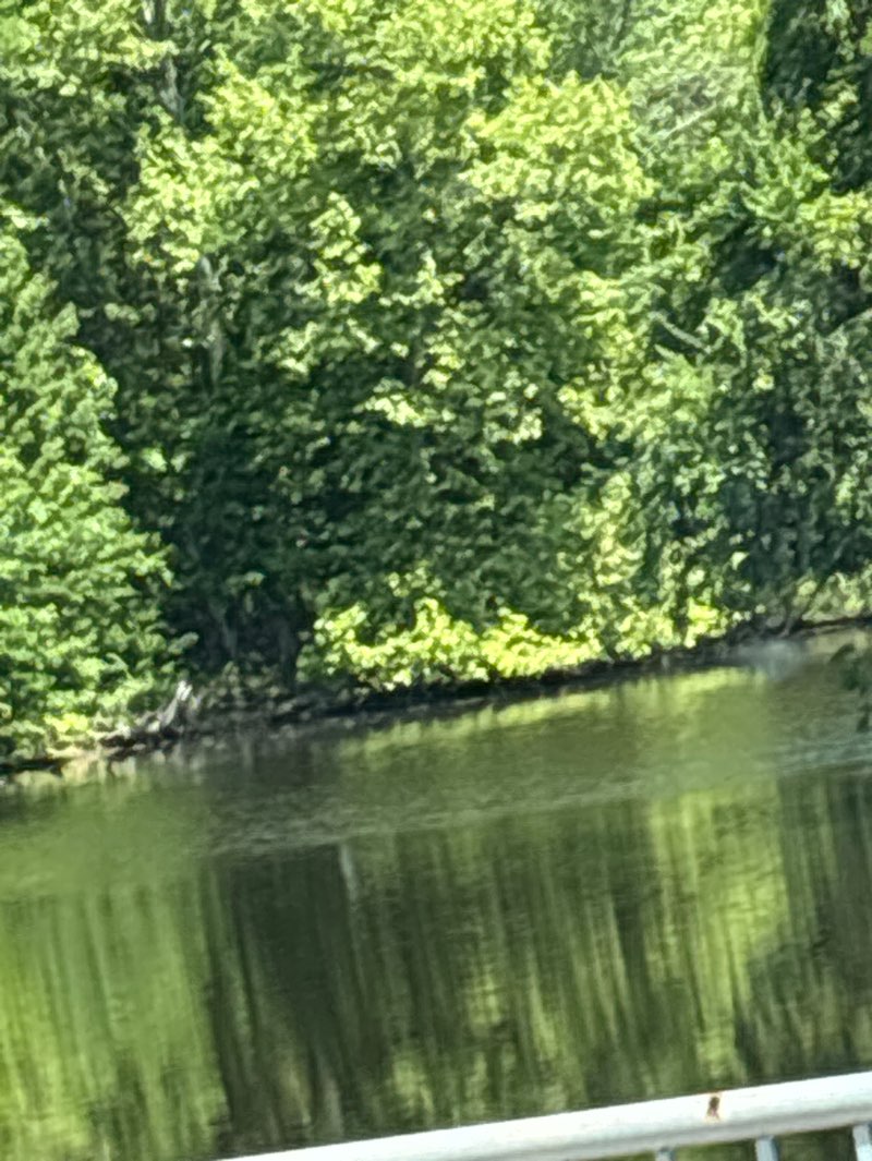 walking near me in Barret’s Landing in spring