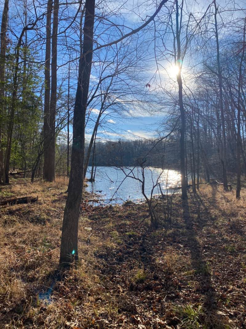 walking near me in Lake Anna State Park in winter