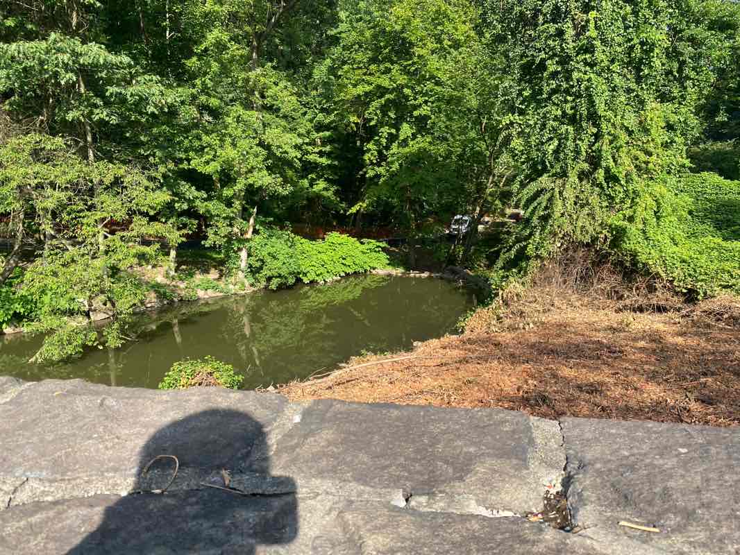 walking near me in Clove Lakes Park in autumn