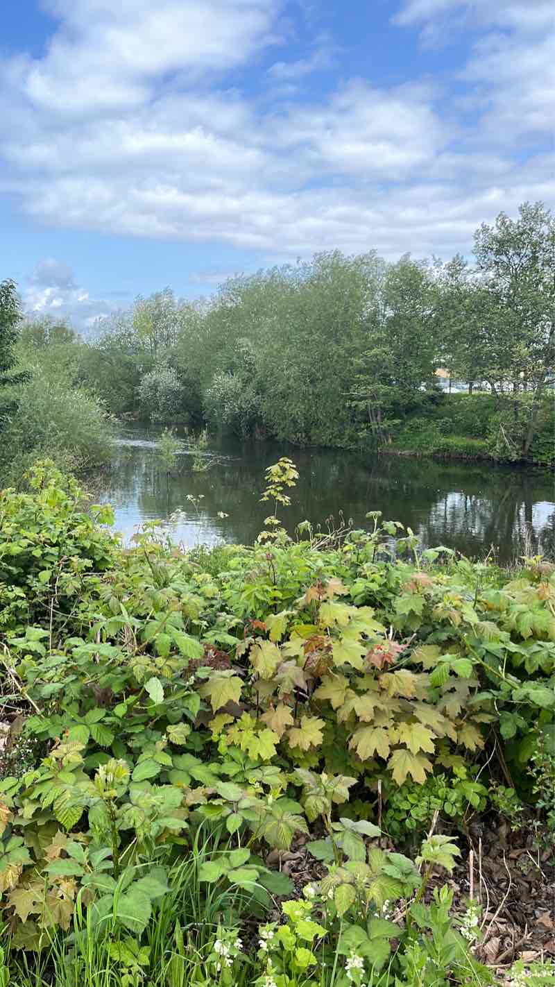 walking near me in Alvaston Park in winter