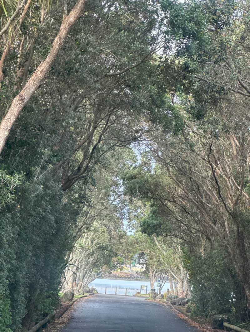 walking near me in Eric Armishaw Park in autumn