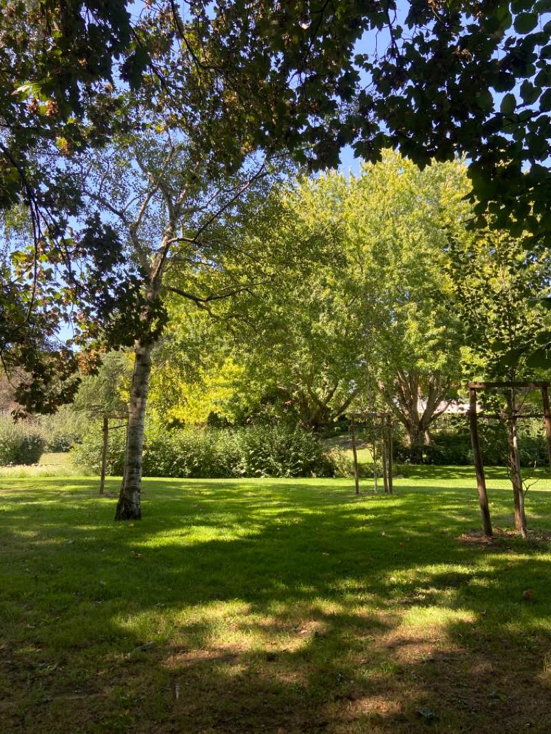 walking near me in Parc Camille RICHARD in winter