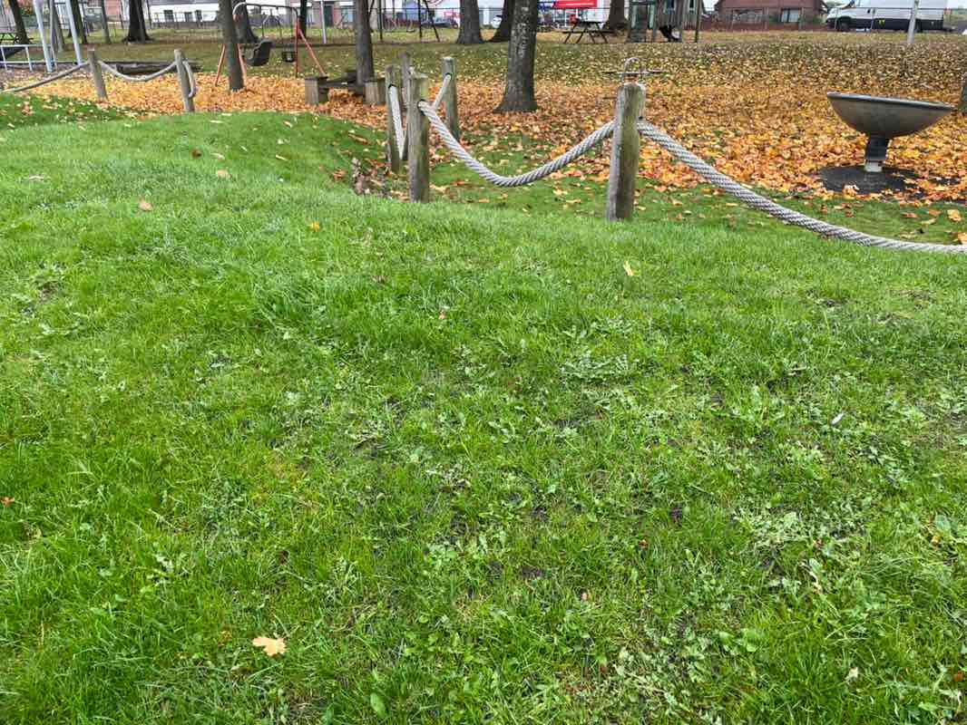 walking near me in Seafield Playpark in autumn