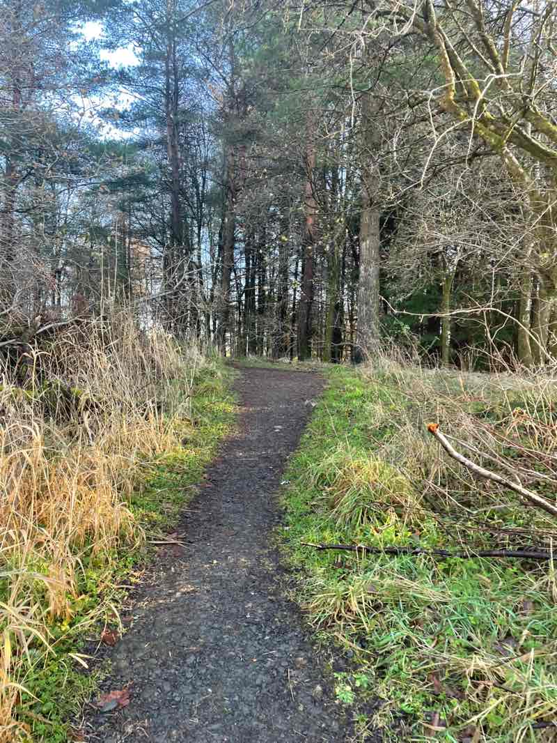 walking near me in Cumbernauld Community Park in winter