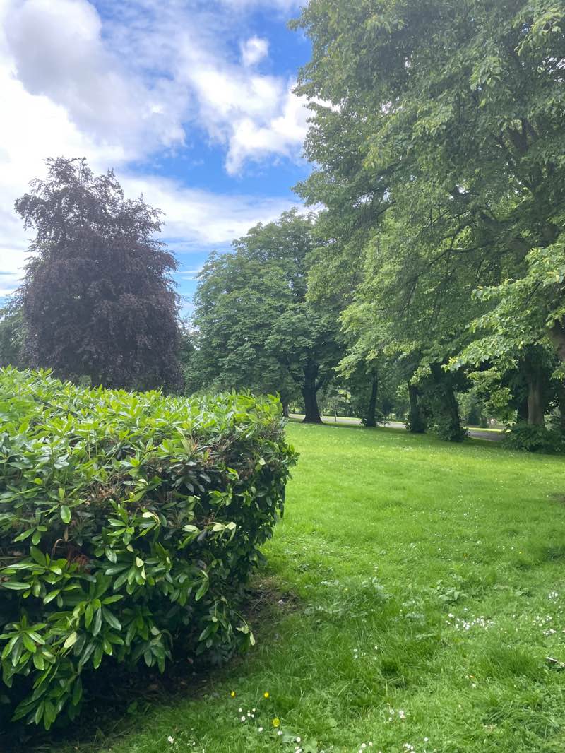 walking near me in Dunfermline Public Park in summer