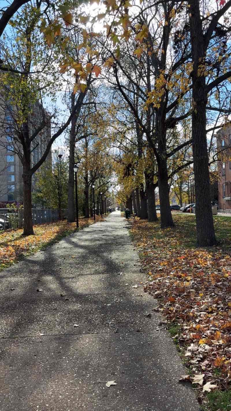 walking near me in Ackert Park in winter