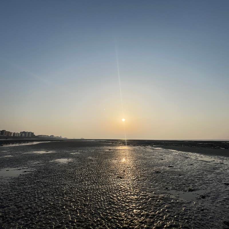 AmboTambo 🇬🇧 🚶🏽‍♀️🐕🐩 post 2