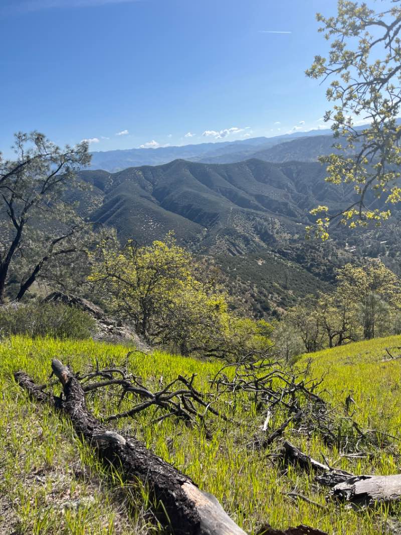 walking near me in Hain Wilderness in winter