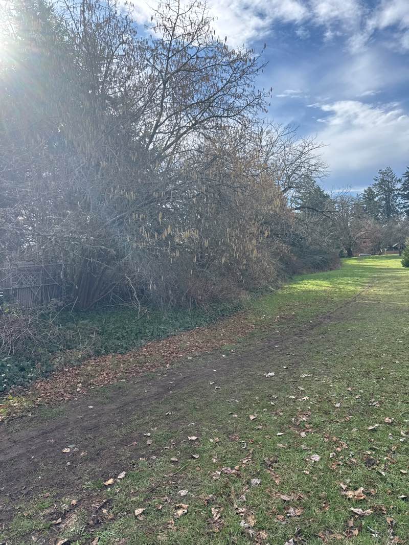 walking near me in West Bank City Park in winter