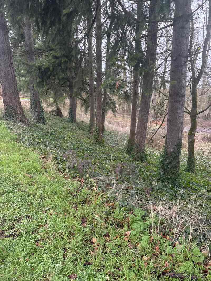 walking near me in Skinner Butte City Park in winter