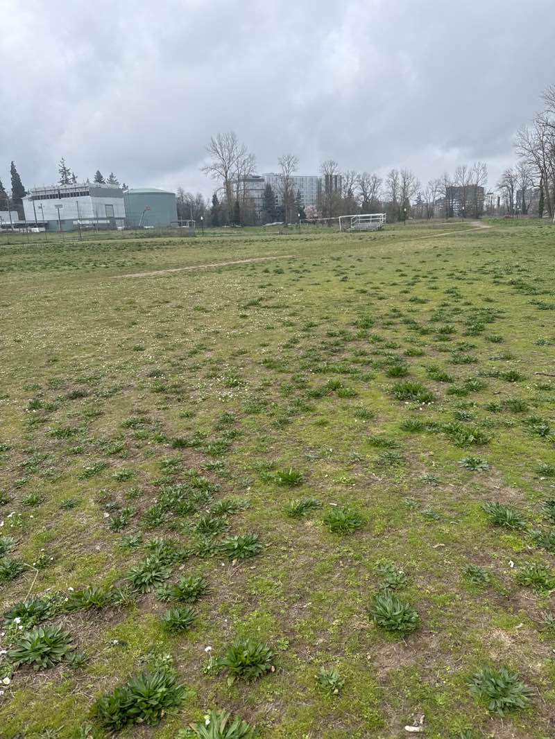 walking near me in Riverfront Fields in spring