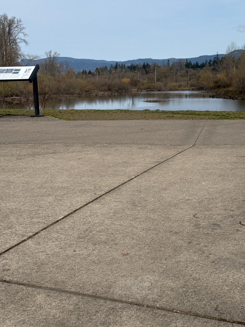 walking near me in East Bank City Park in spring