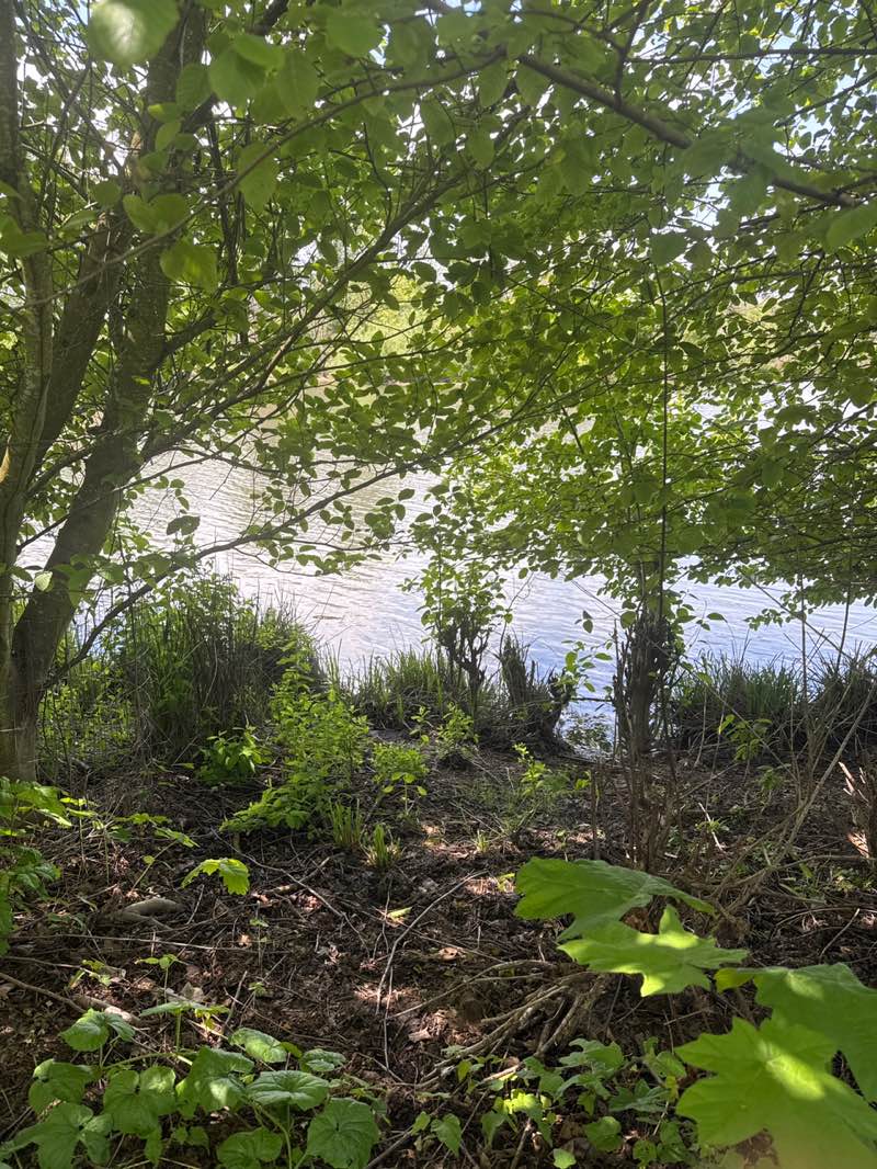 walking near me in Delta Ponds City Park in spring