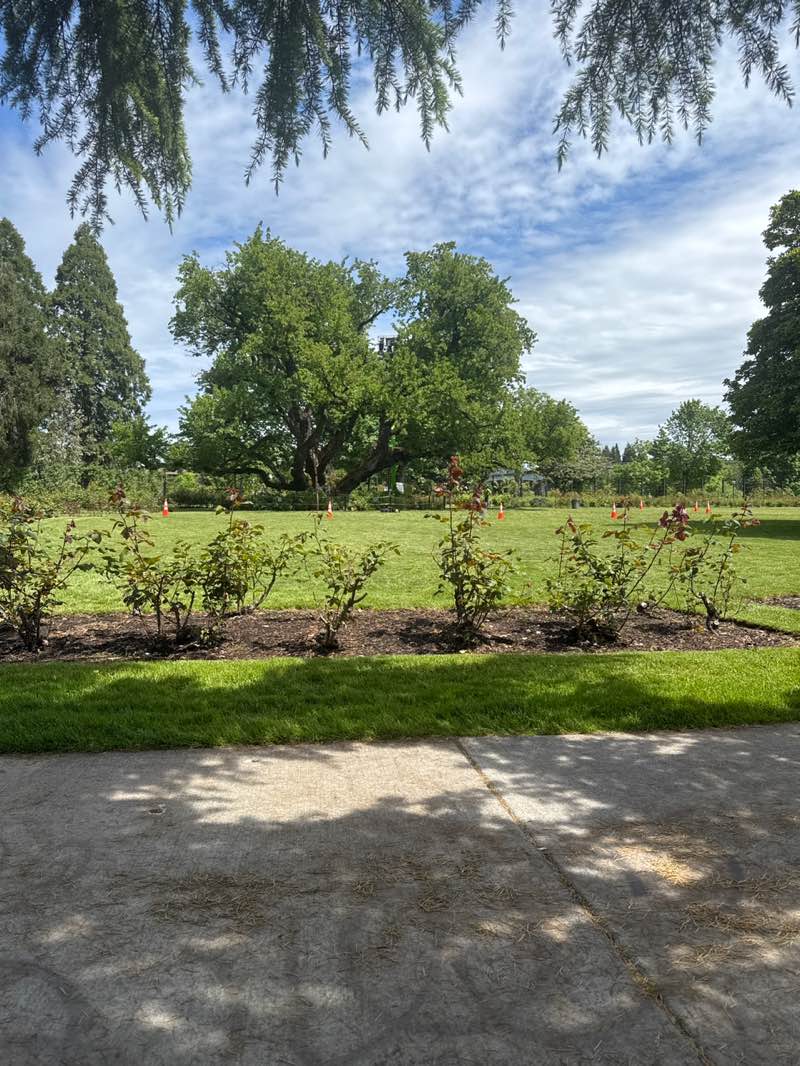 walking near me in Owen Rose Garden in spring