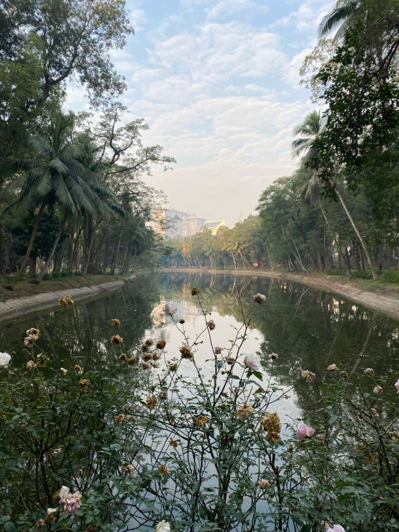 walking near me in Lenin Park in winter