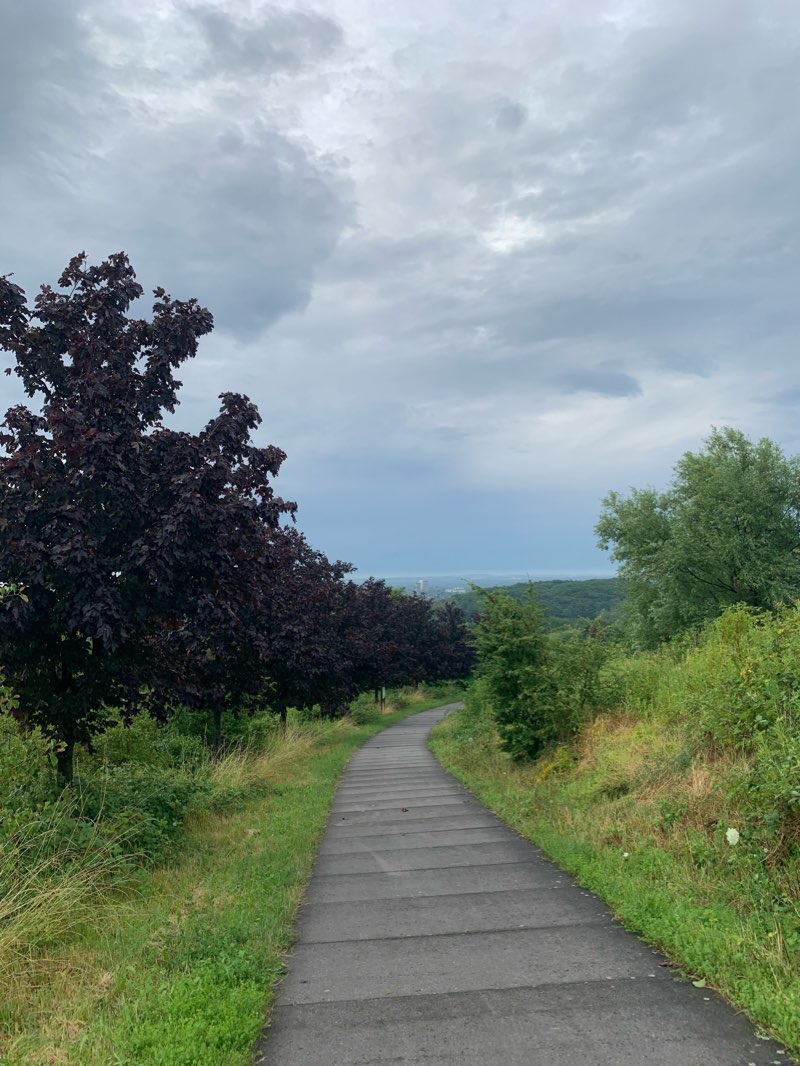 walking near me in Kortumpark in winter