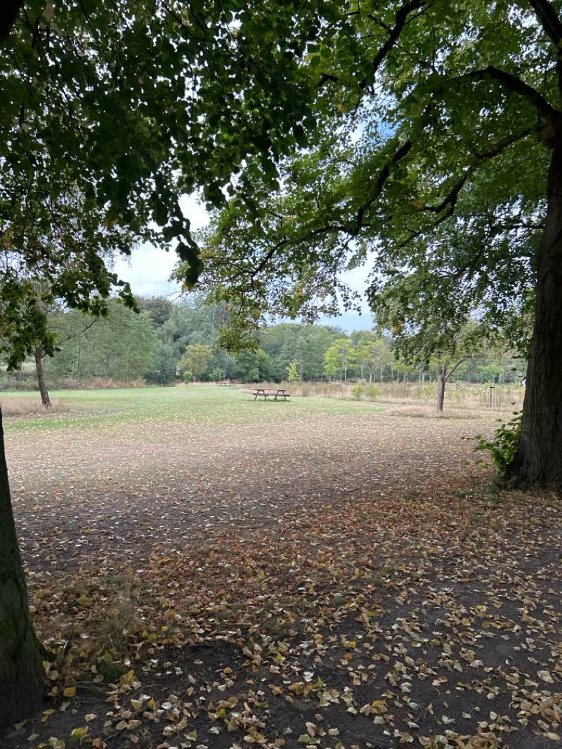 walking near me in Goscote Park in autumn