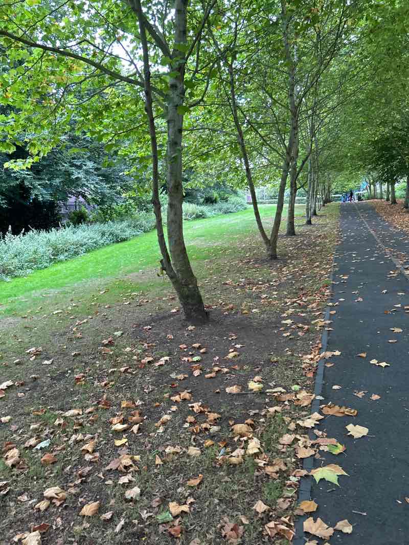 walking near me in Walsall Memorial Garden in autumn