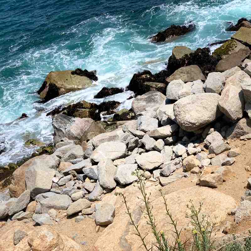 Eduardo T.S.🇧🇴 post 2