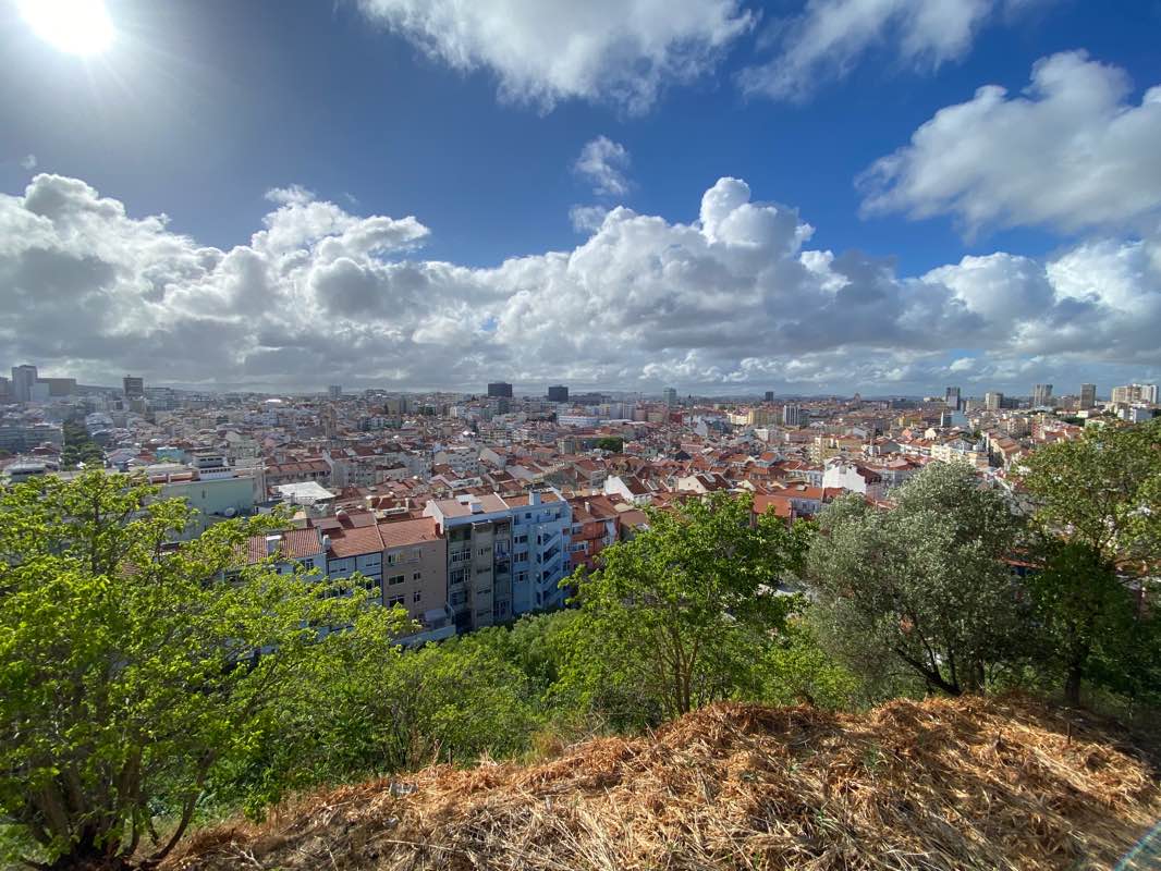 walking near me in Jardim da Alameda Dom Afonso Henriques in winter