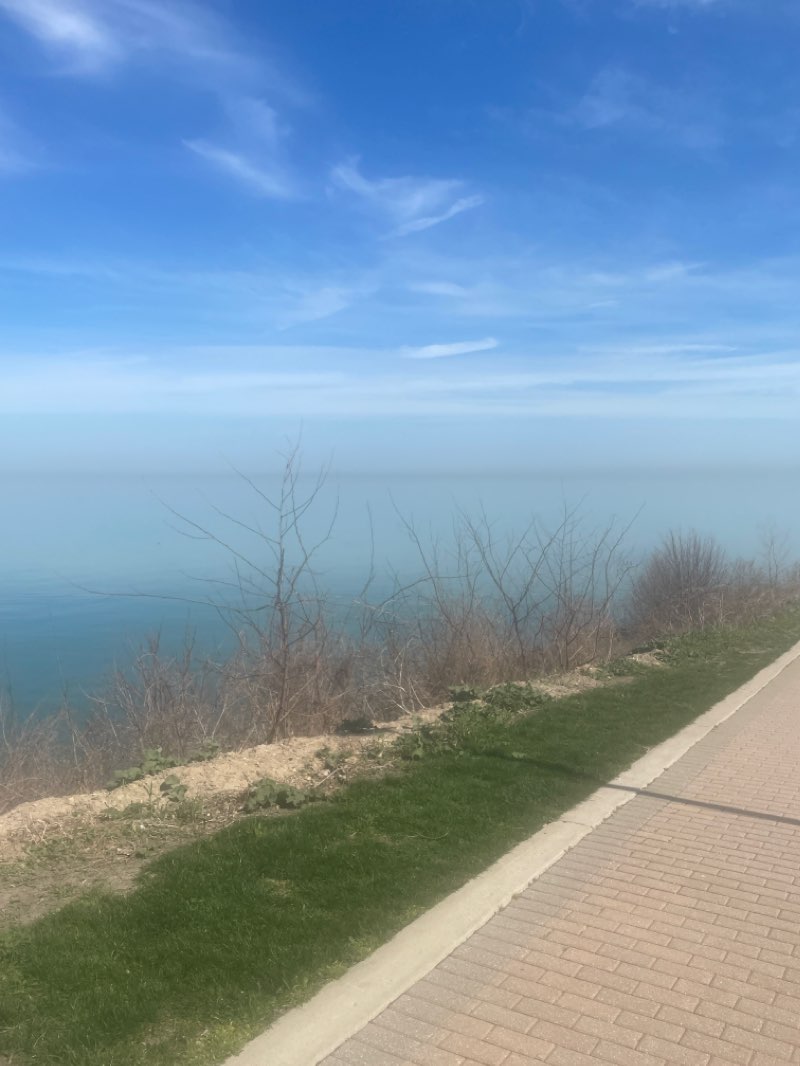 walking near me in Lakewood Park in winter