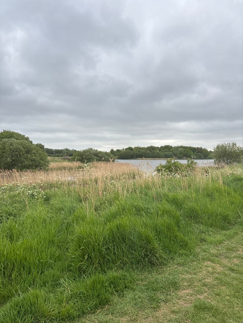 walking near me in Cleethorpes County Park in spring