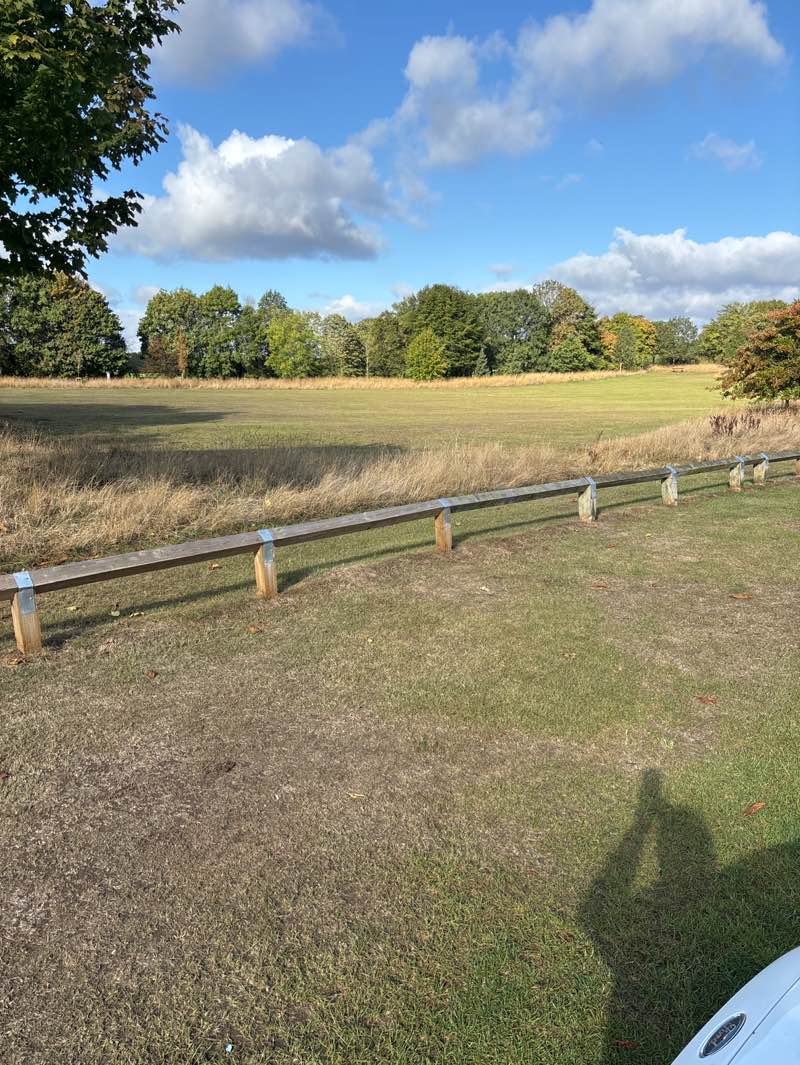 walking near me in Cusworth Hall Museum and Park in autumn