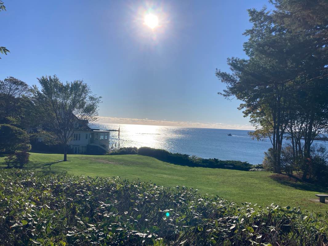 walking near me in Hartley Mason Reservation in autumn