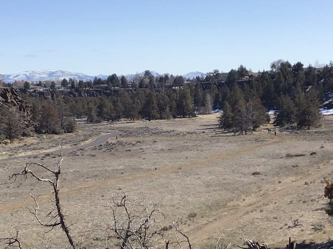 walking near me in Dry Canyon in winter